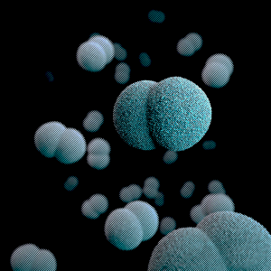 Virus image